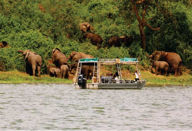 L. Mburo National Park